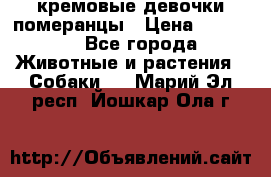 кремовые девочки померанцы › Цена ­ 30 000 - Все города Животные и растения » Собаки   . Марий Эл респ.,Йошкар-Ола г.